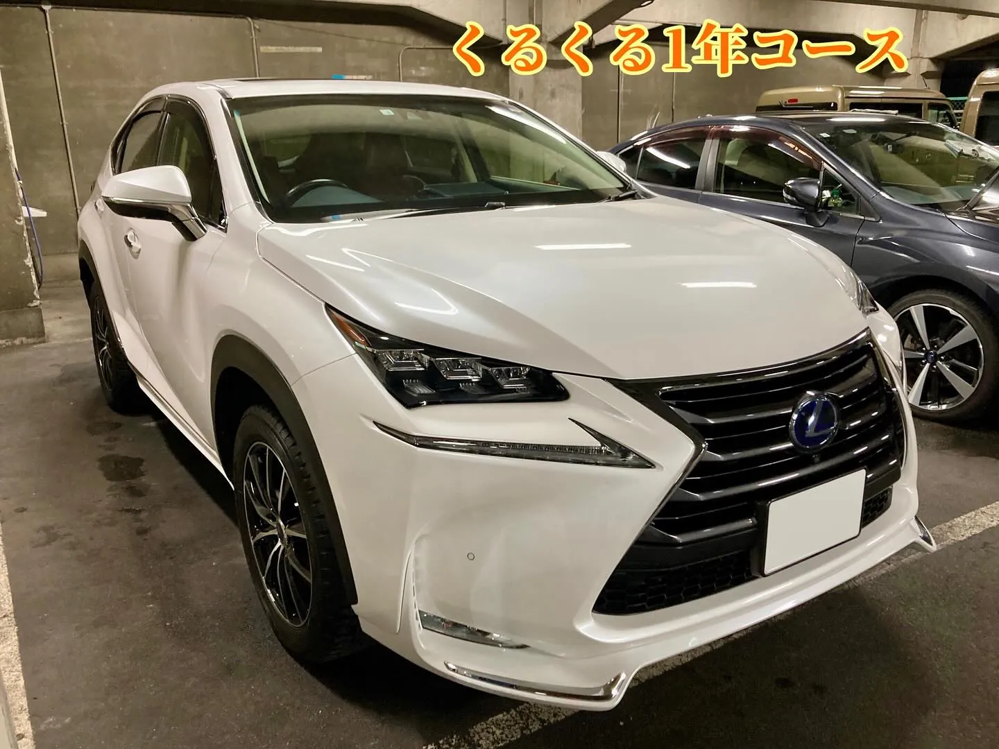 桐生ドンキ LEXUS NX300h 本格コーティングコース...