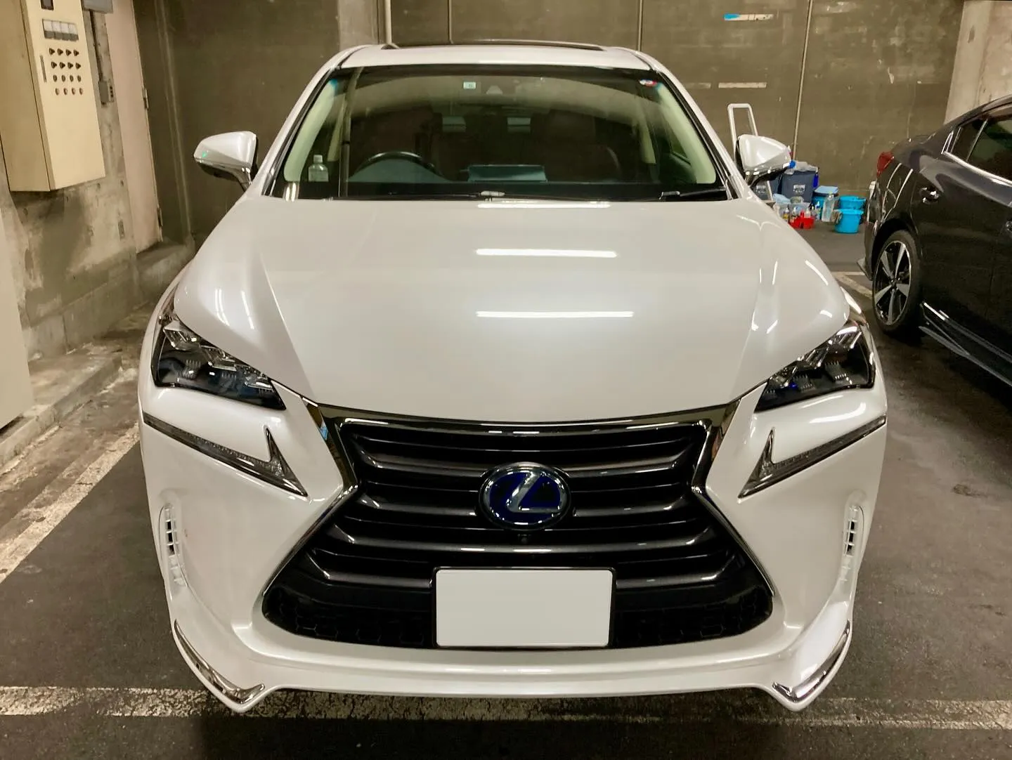 桐生ドンキ LEXUS NX300h 本格コーティングコース...