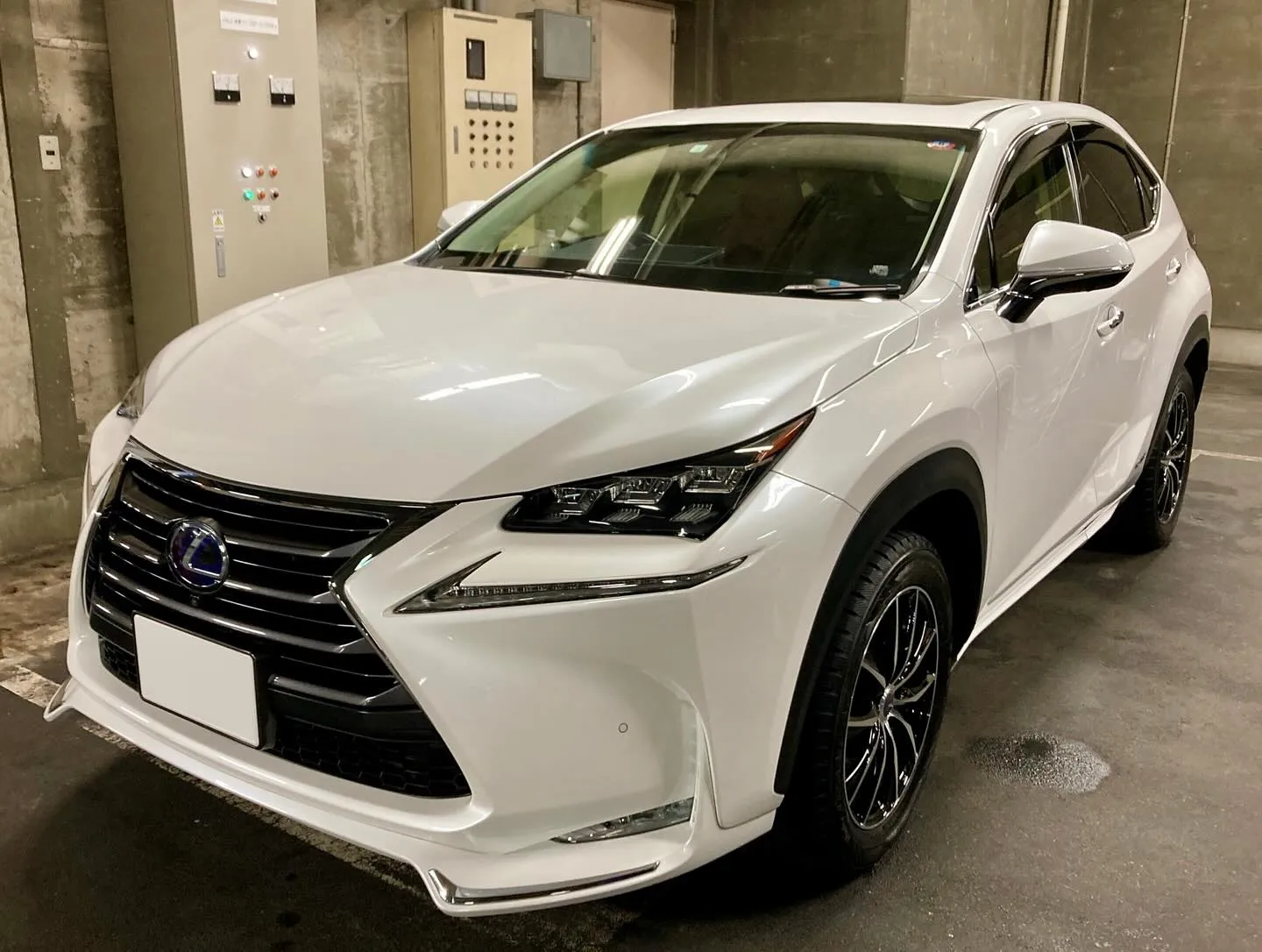 桐生ドンキ LEXUS NX300h 本格コーティングコース...