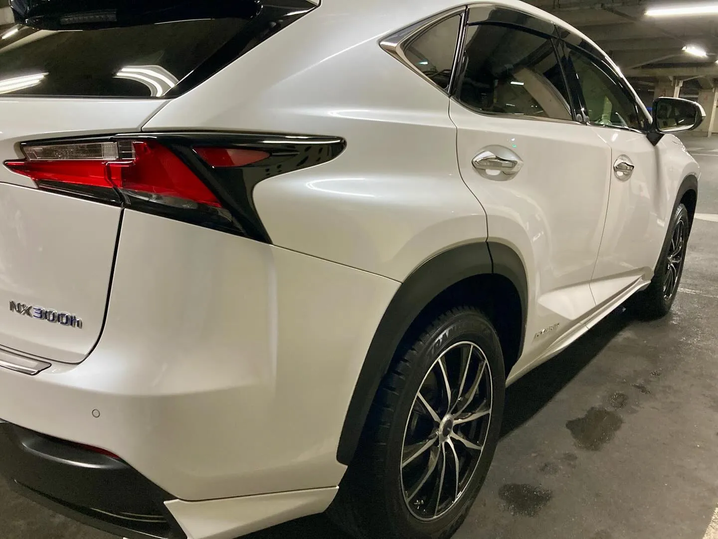 桐生ドンキ LEXUS NX300h 本格コーティングコース...