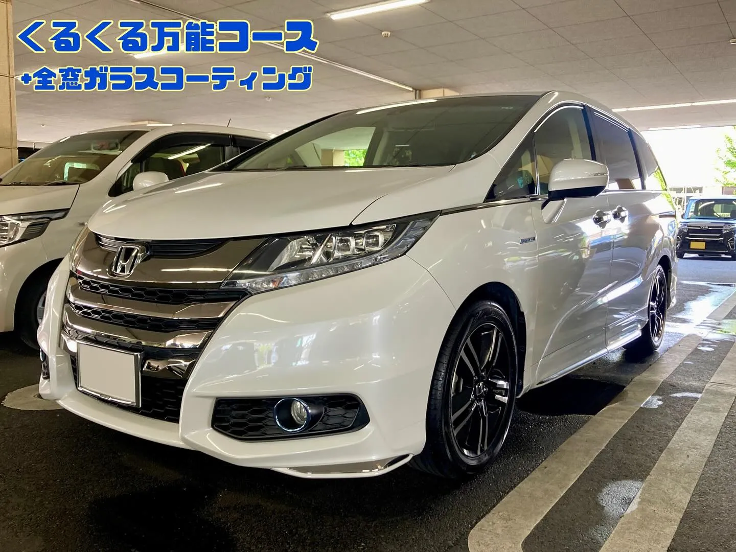 下館ドンキ🐧 イベント出店 オデッセイ ご利用者様🚘