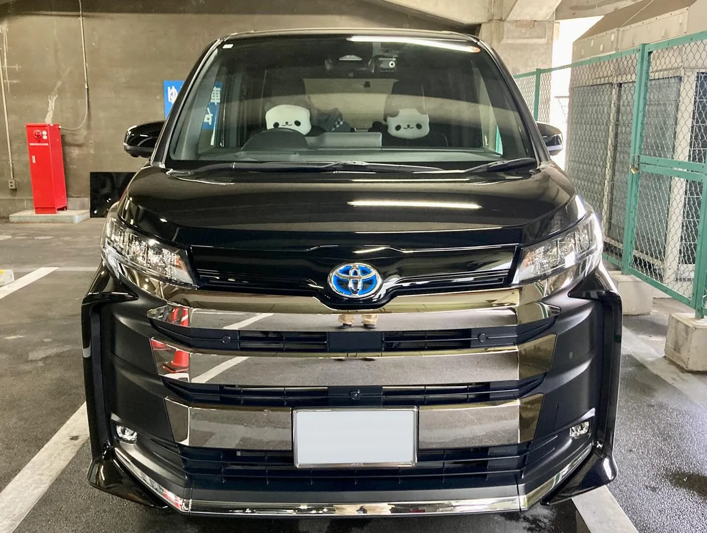 メガ桐生ドンキ🐧 本日まで出店中🎶 NOAH ご新規様🚘