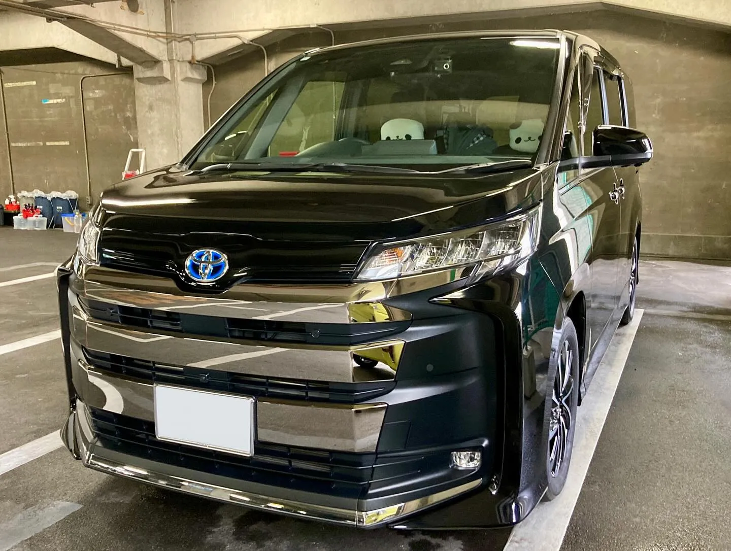 メガ桐生ドンキ🐧 本日まで出店中🎶 NOAH ご新規様🚘