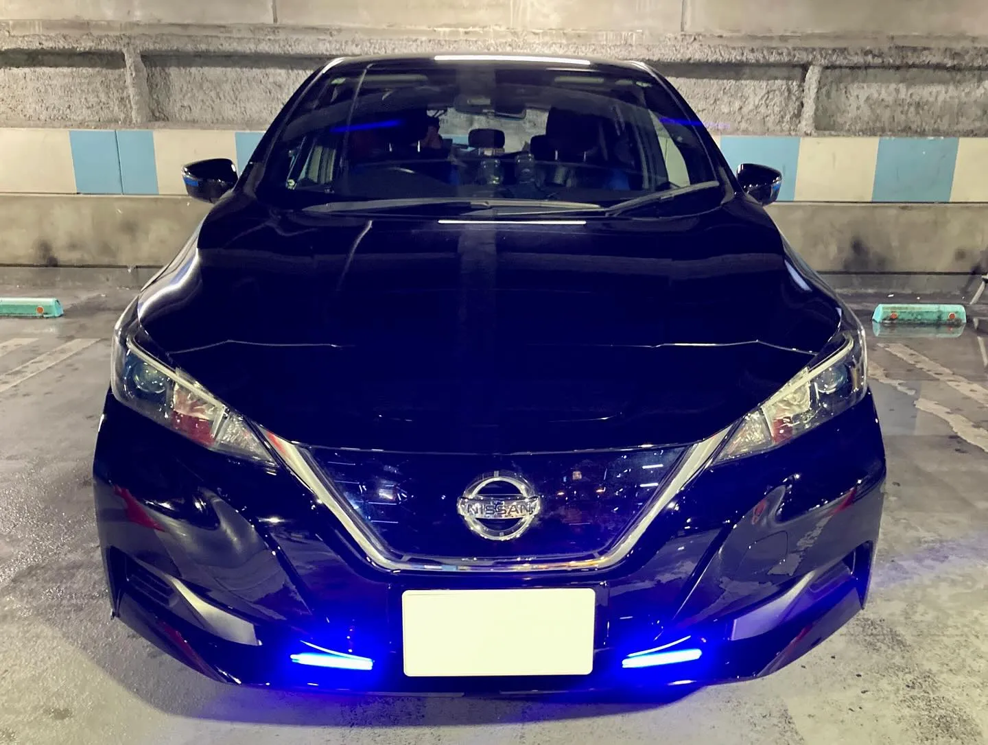 メガ柏ドンキ🐧 只今イベント出店中🎶 リーフ リピーター様🚘