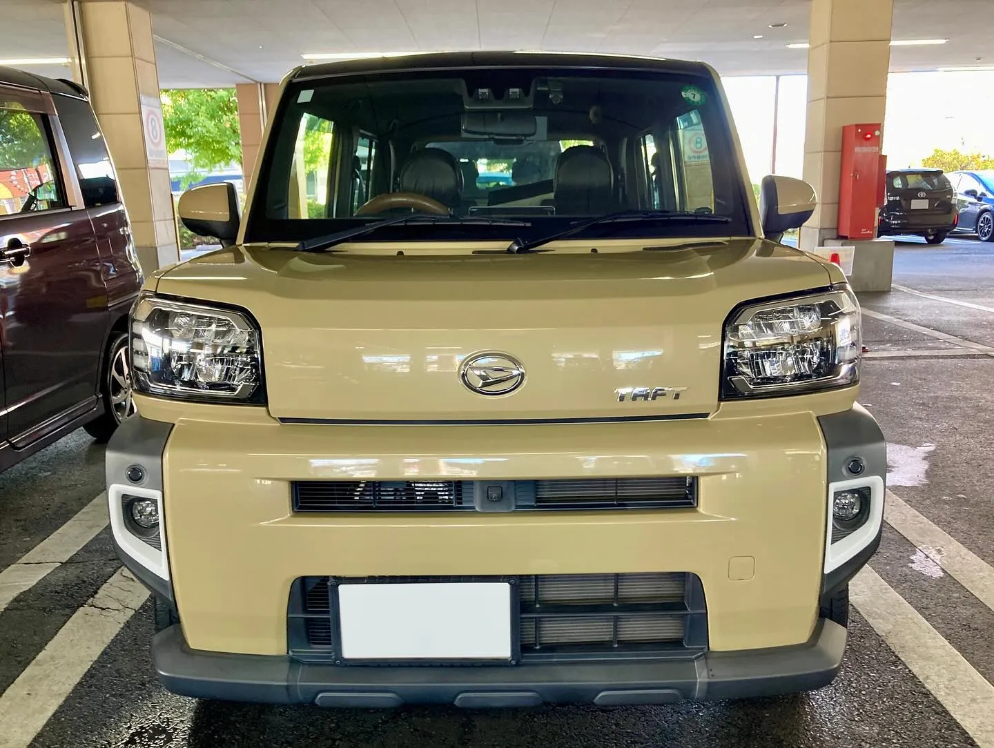 下館ドンキ🐧 本日よりイベント再開🎶 タフト リピーター様🚘