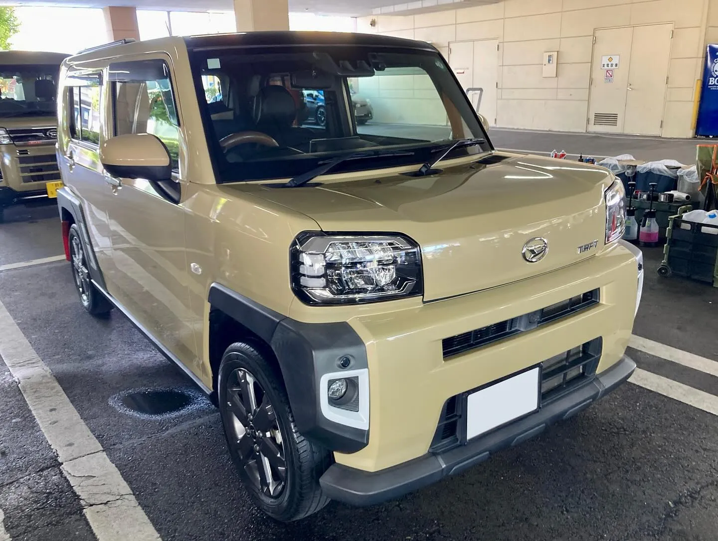 下館ドンキ🐧 本日よりイベント再開🎶 タフト リピーター様🚘