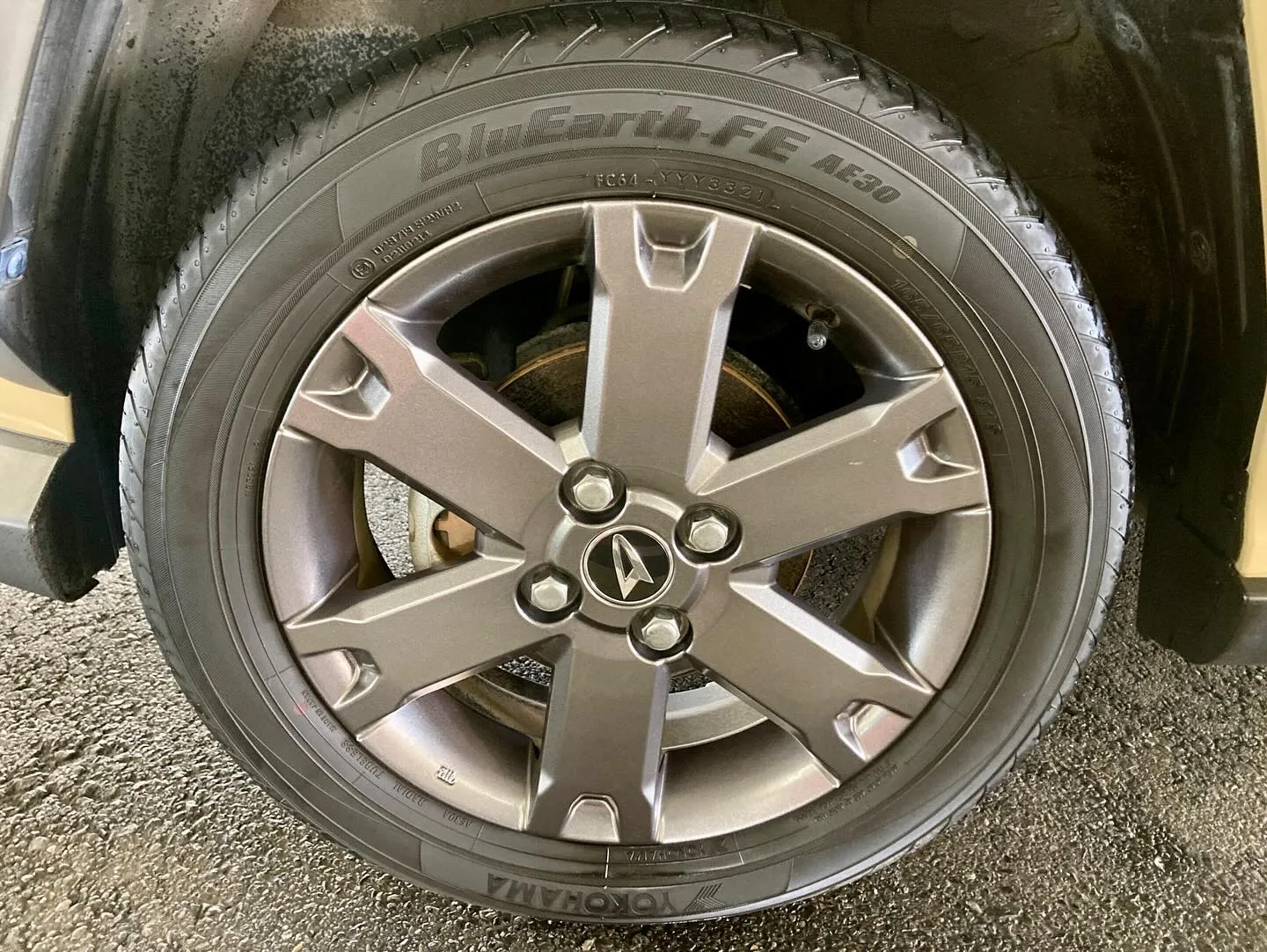 下館ドンキ🐧 本日よりイベント再開🎶 タフト リピーター様🚘