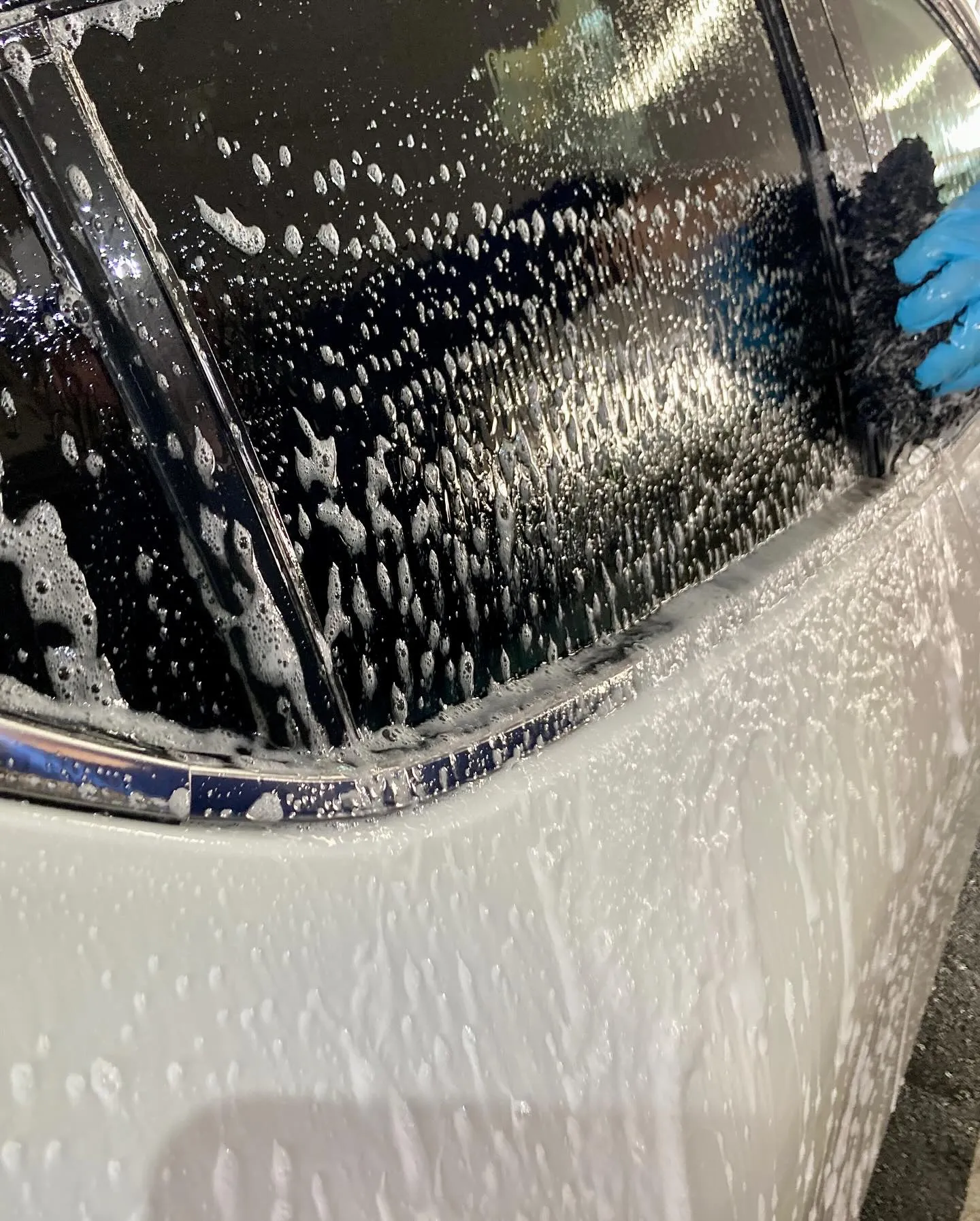 2025年11月出店⭐️ メガ柏ドンキ🐧 手洗いコーティング...