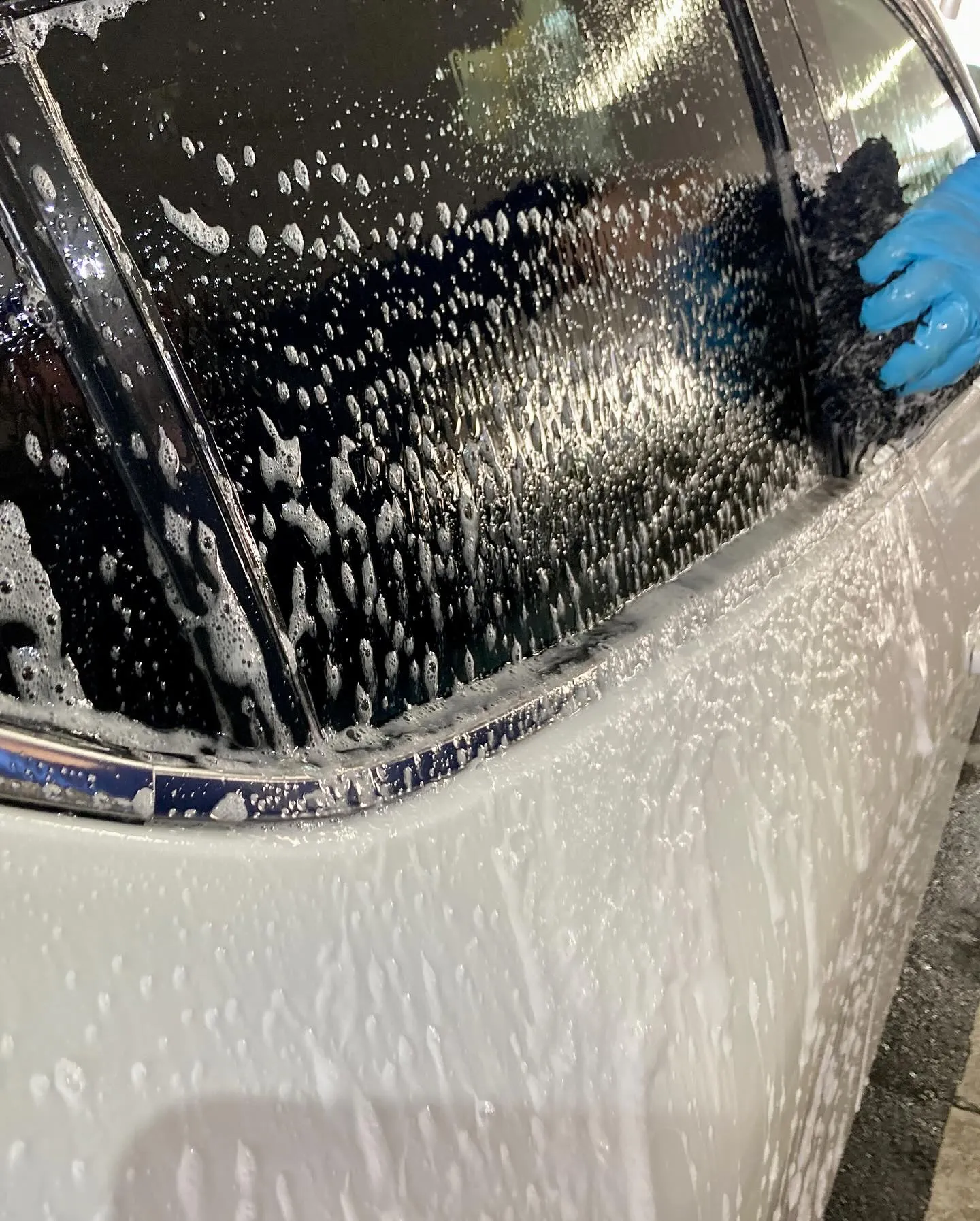 2025年11月出店⭐️ メガ桐生ドンキ🐧 手洗いコーティン...