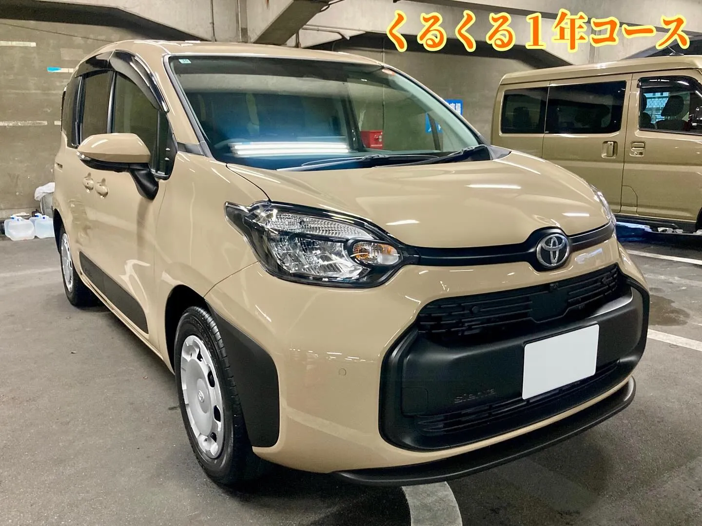 桐生ドンキ🐧 本日よりイベント出店中🎶 シエンタ リピーター...