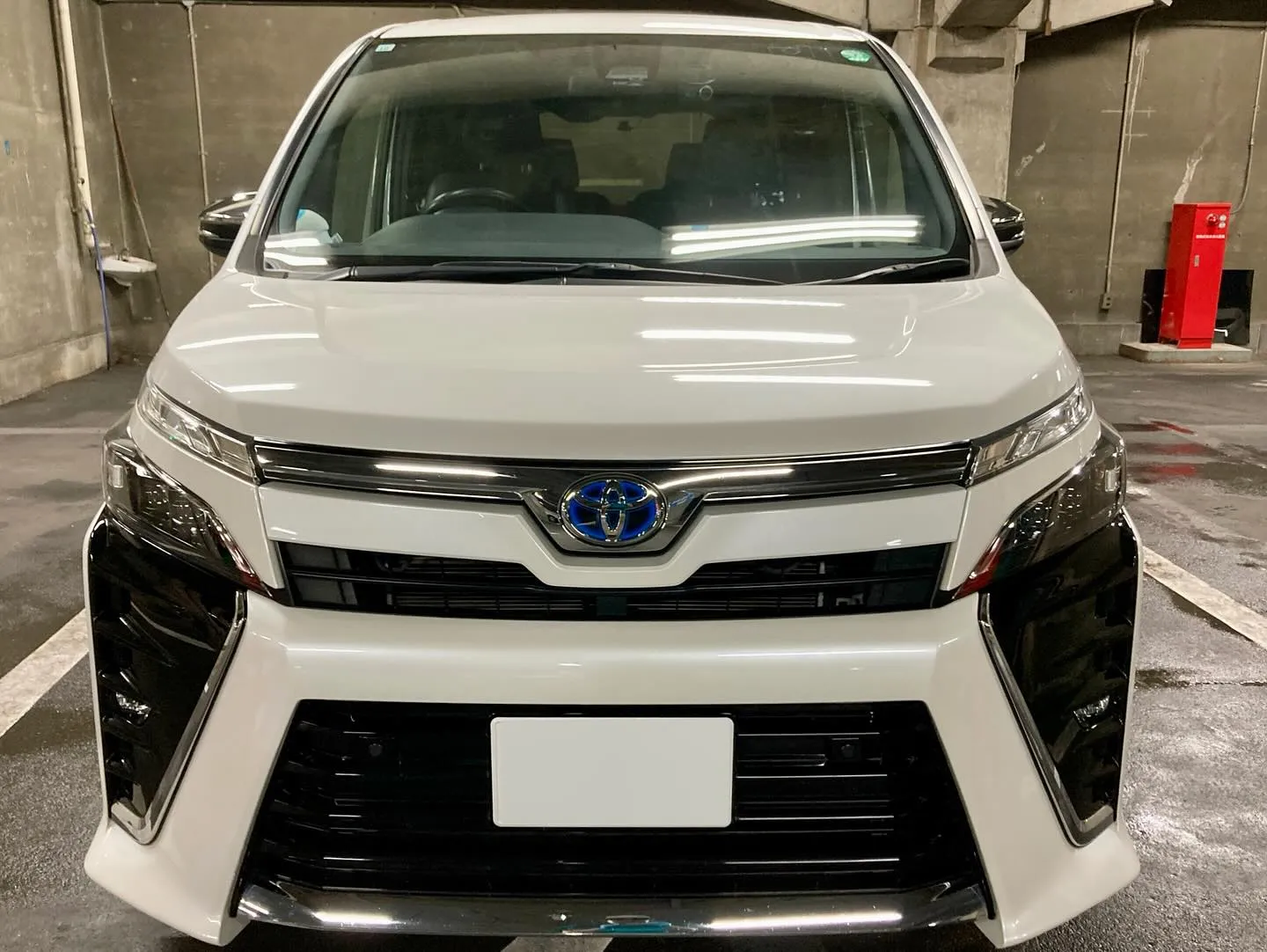 桐生ドンキ🐧 本日よりイベント出店中🎶 ヴォクシー リピータ...