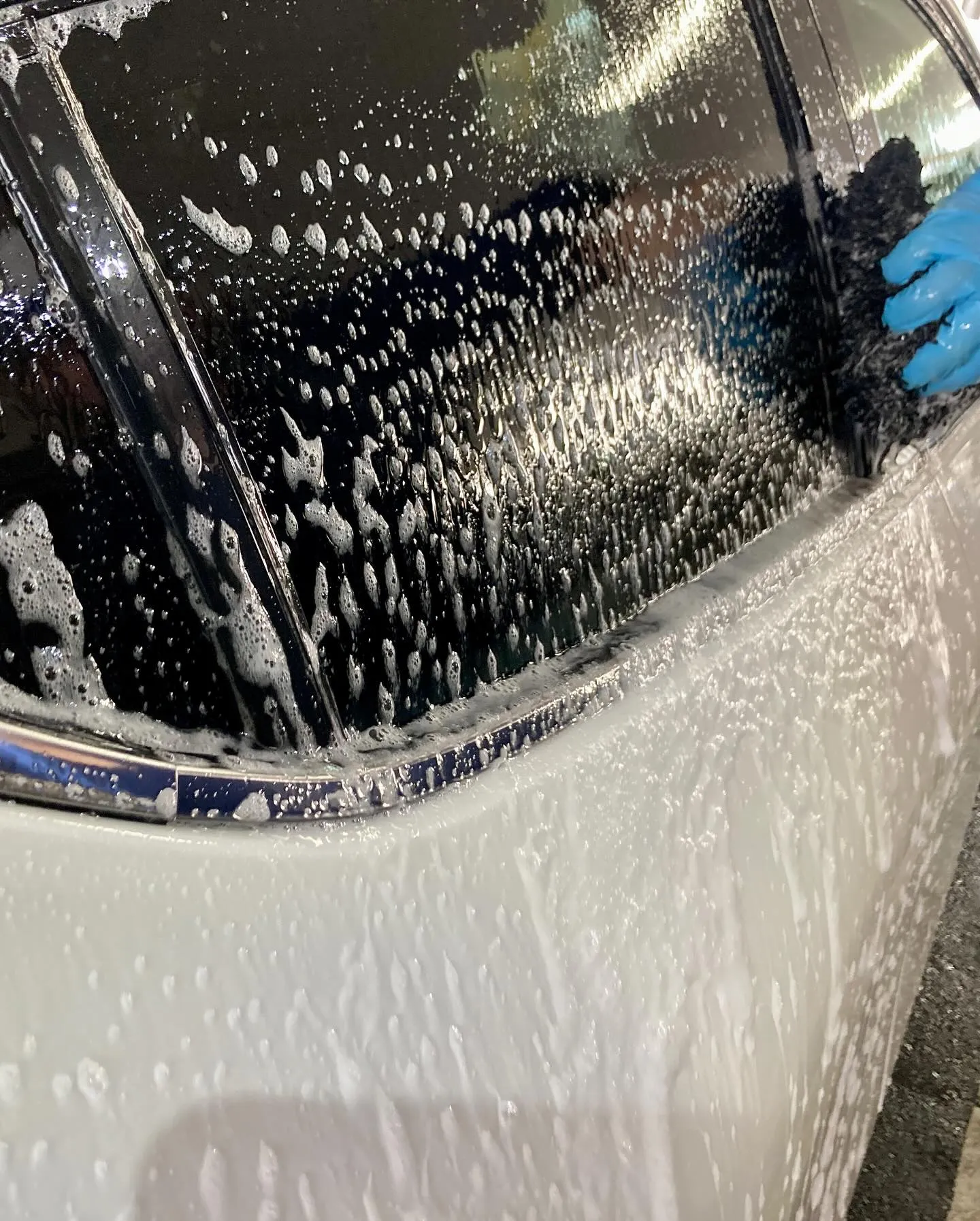 2025年11月出店⭐️ 下館ドンキ🐧 手洗いコーティング洗...