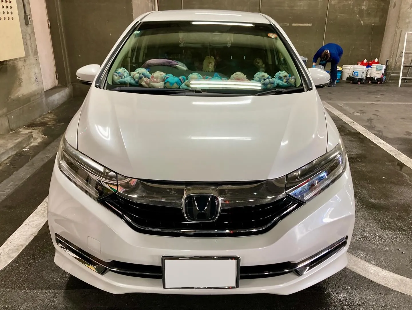 桐生ドンキ🐧 出店ありがとうございました🙇‍♂️ フィットシ...