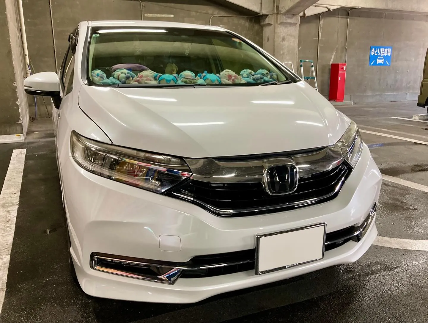 桐生ドンキ🐧 出店ありがとうございました🙇‍♂️ フィットシ...