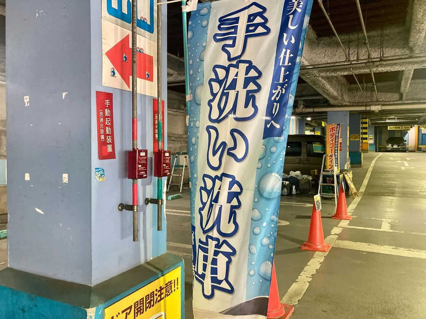 本日は『メガ柏ドンキホーテ』🐧