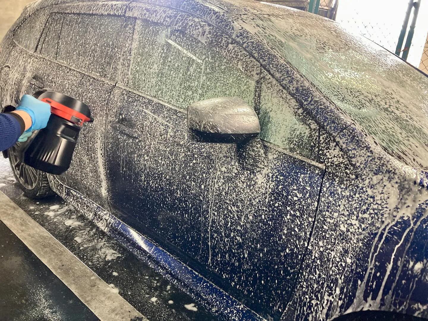 本日は『メガ柏ドンキホーテ』🐧