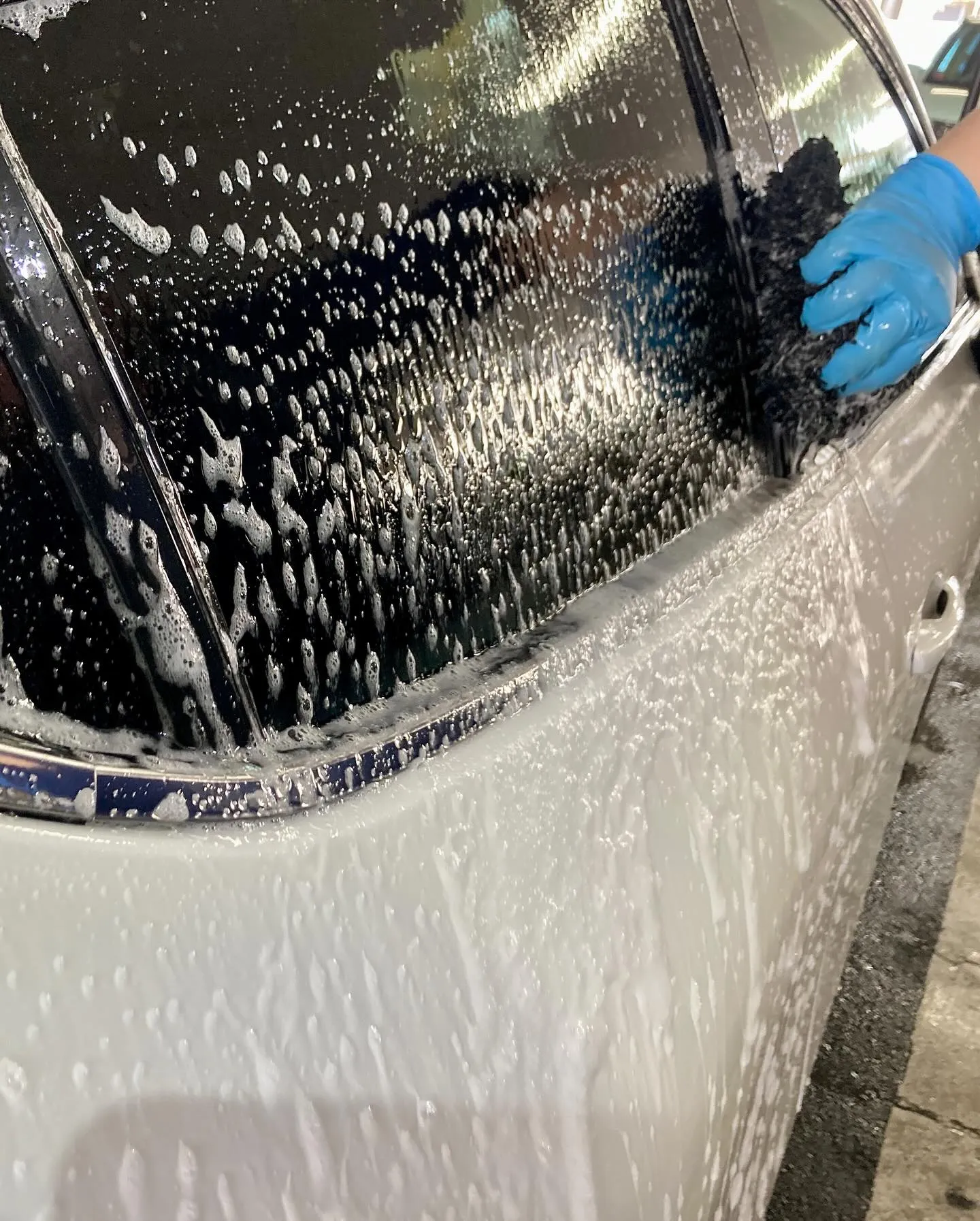 2025年12月年末出店⭐️ メガ桐生ドンキ🐧 手洗いコーテ...