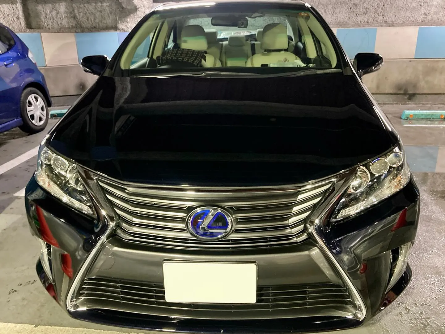 メガ柏ドンキ🐧 年内出店ありがとうございました🙇‍♂️ レク...