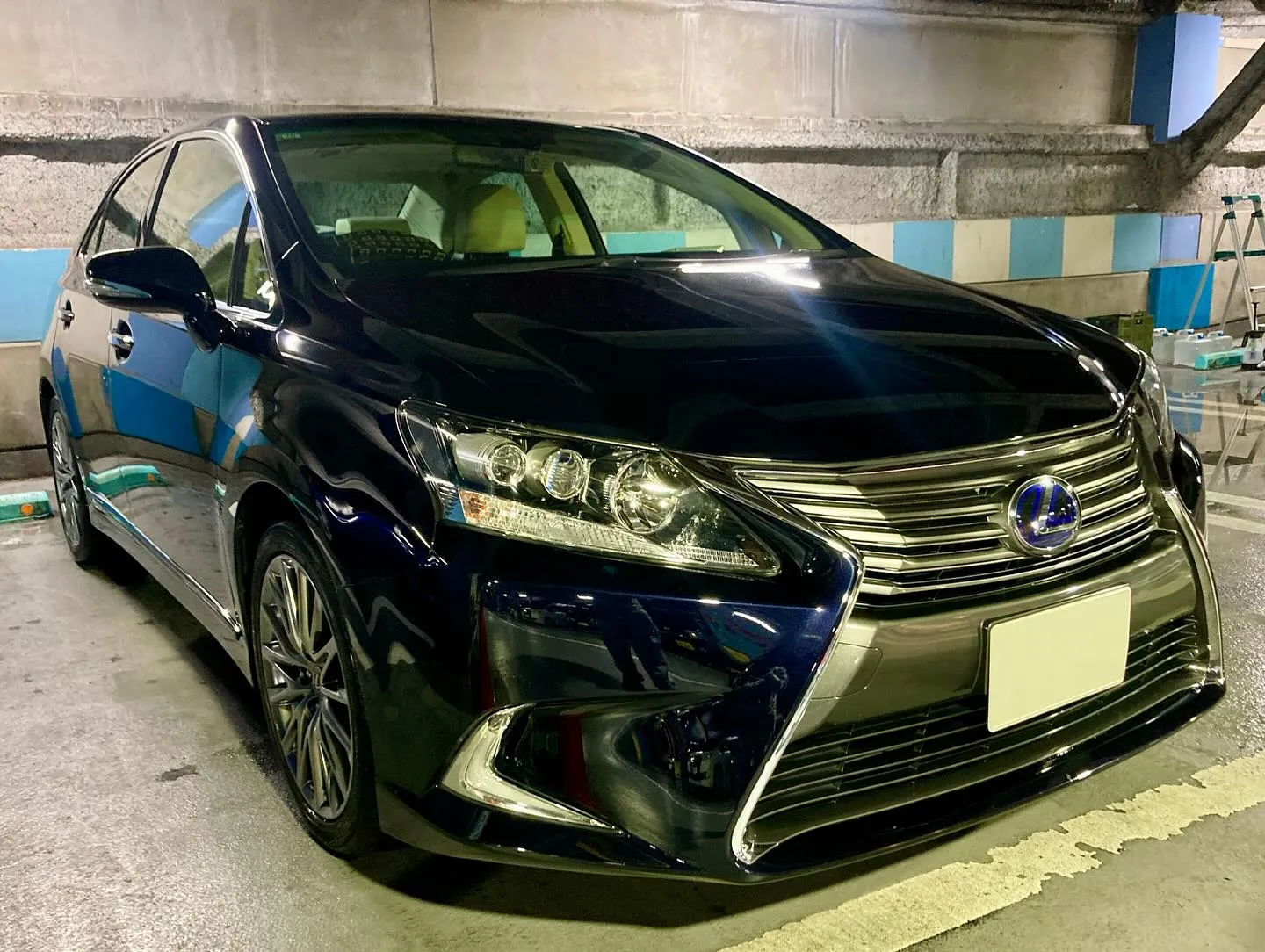 メガ柏ドンキ🐧 年内出店ありがとうございました🙇‍♂️ レク...