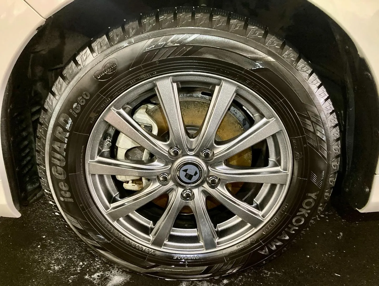 下館ドンキ🐧 本日よりイベント出店中🎶 オデッセイ リピータ...