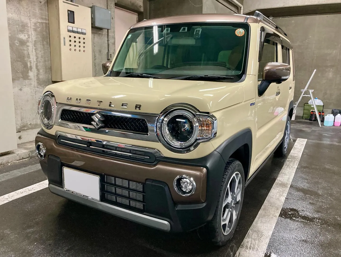 メガ桐生ドンキ🐧 本日よりイベント出店中🎶 ハスラー リピー...