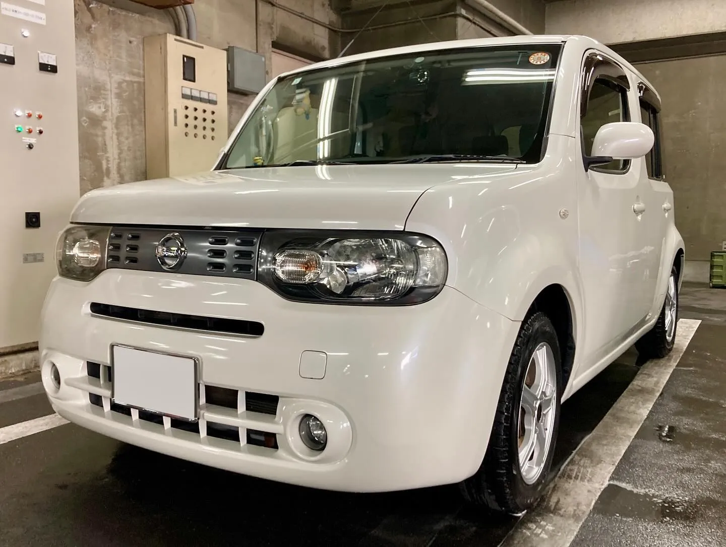 メガ桐生ドンキ🐧 本日よりイベント出店中🎶 キューブ リピー...