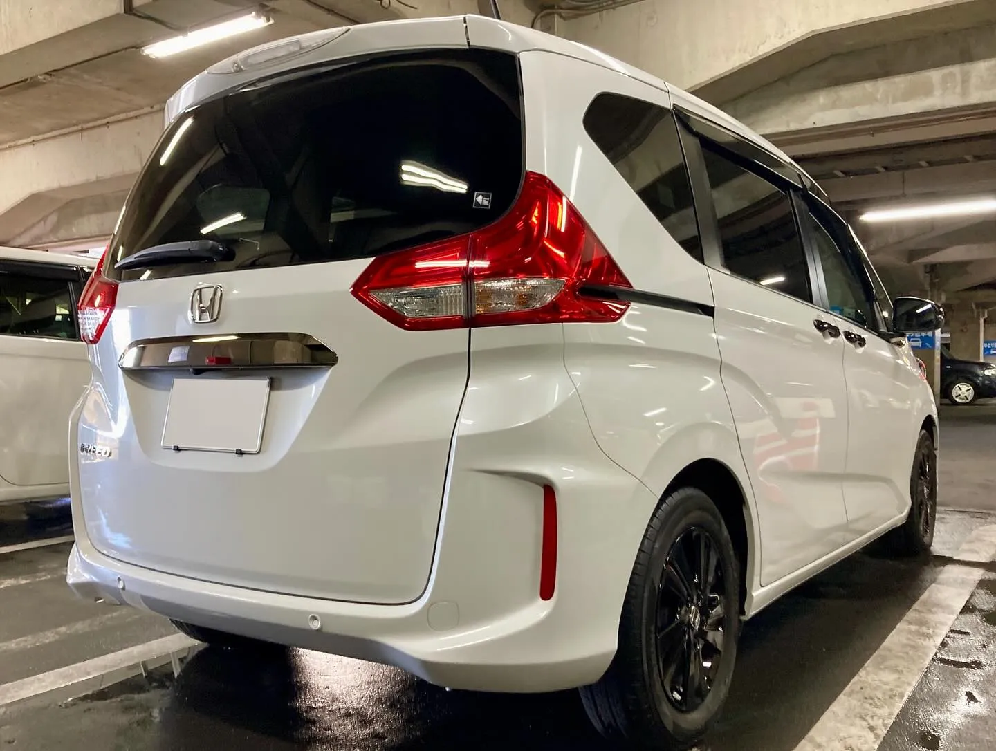 メガ桐生ドンキ🐧 本日よりイベント出店中🎶 フリード ご新規...