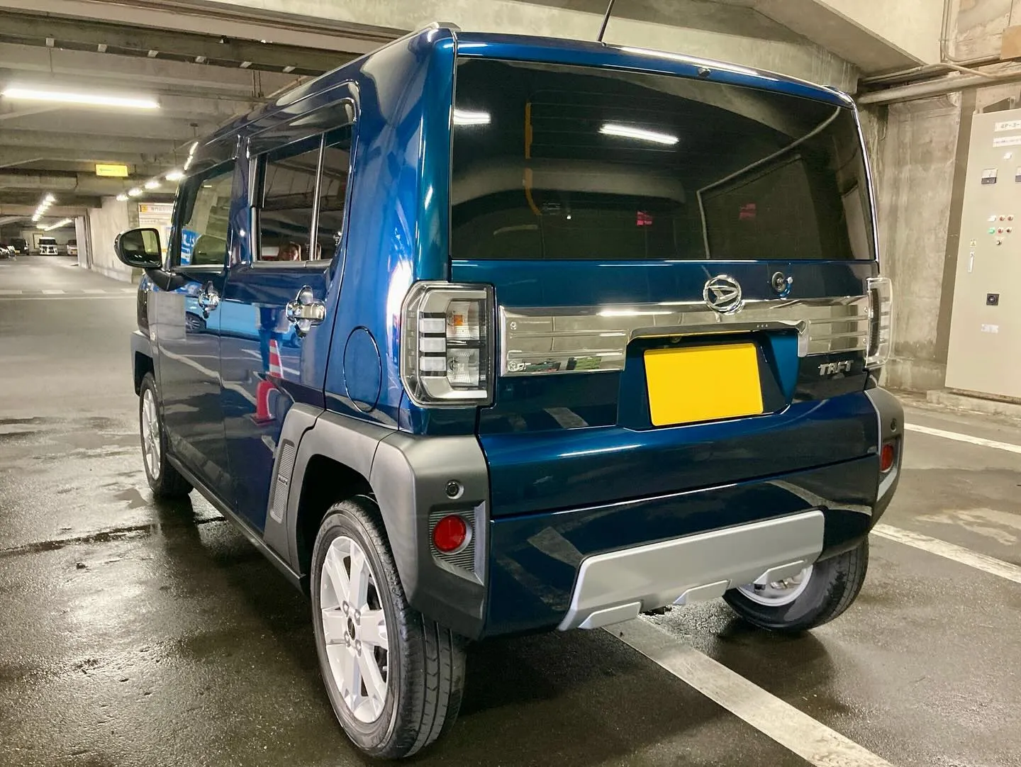 メガ桐生ドンキ🐧 出店ありがとうございました🙇‍♂️ タフト...