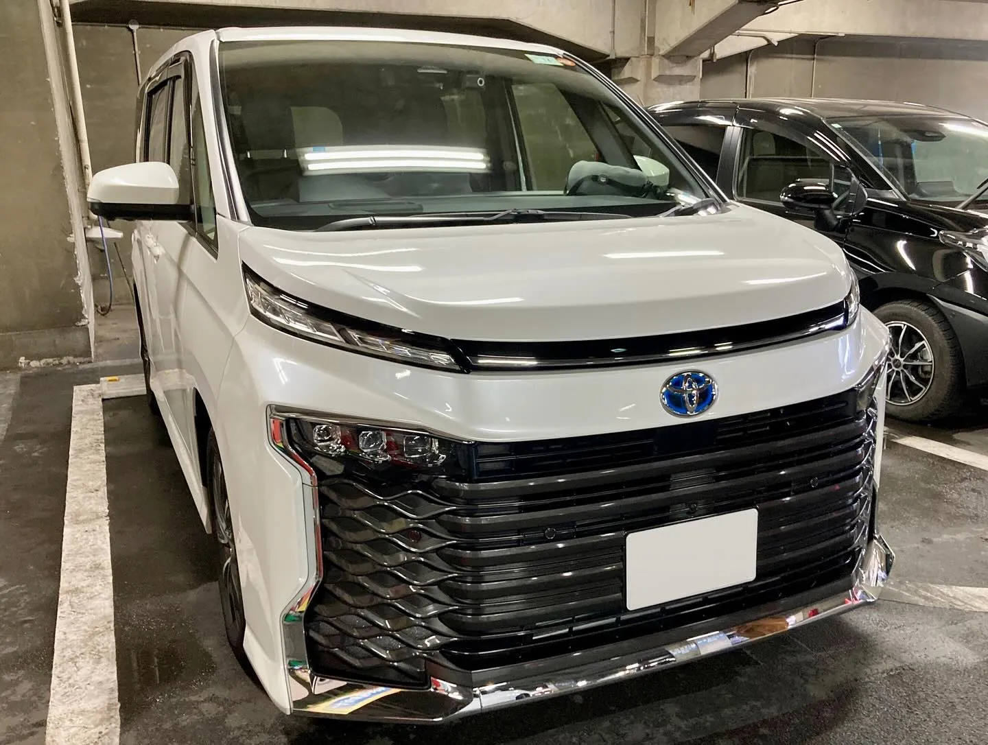 メガ桐生ドンキ🐧 出店ありがとうございました🙇‍♂️ ヴォク...