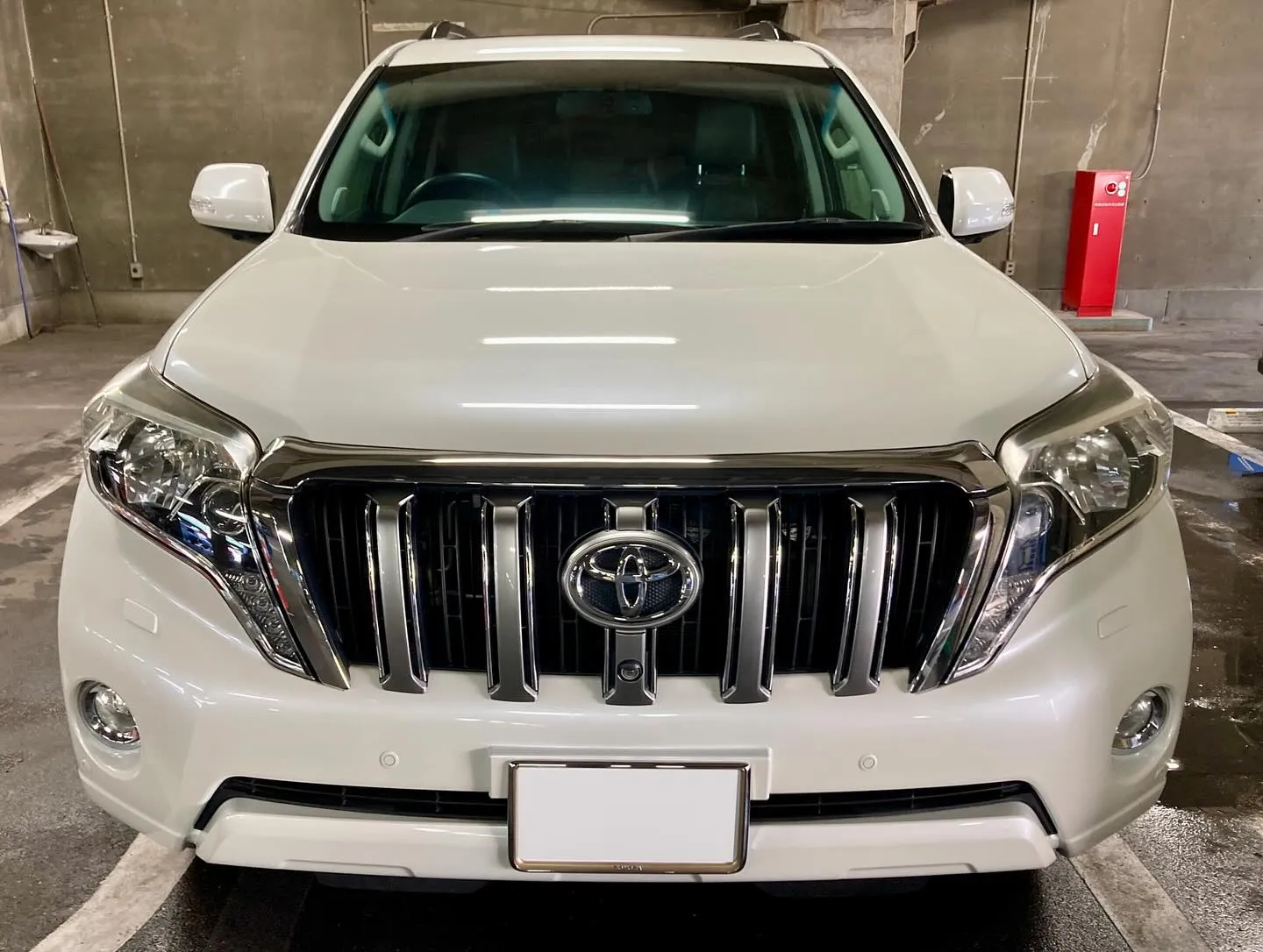 メガ桐生ドンキ🐧 出店ありがとうございました🙇♂️ ランド...