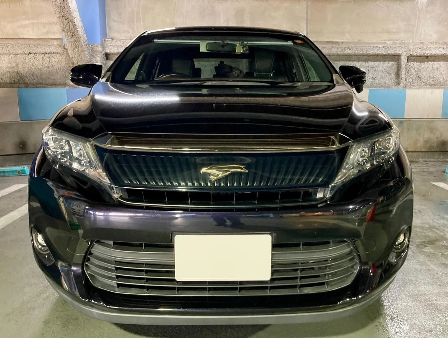 メガ柏ドンキ🐧 只今イベント出店中🎶 ハリアー ご新規様🚘