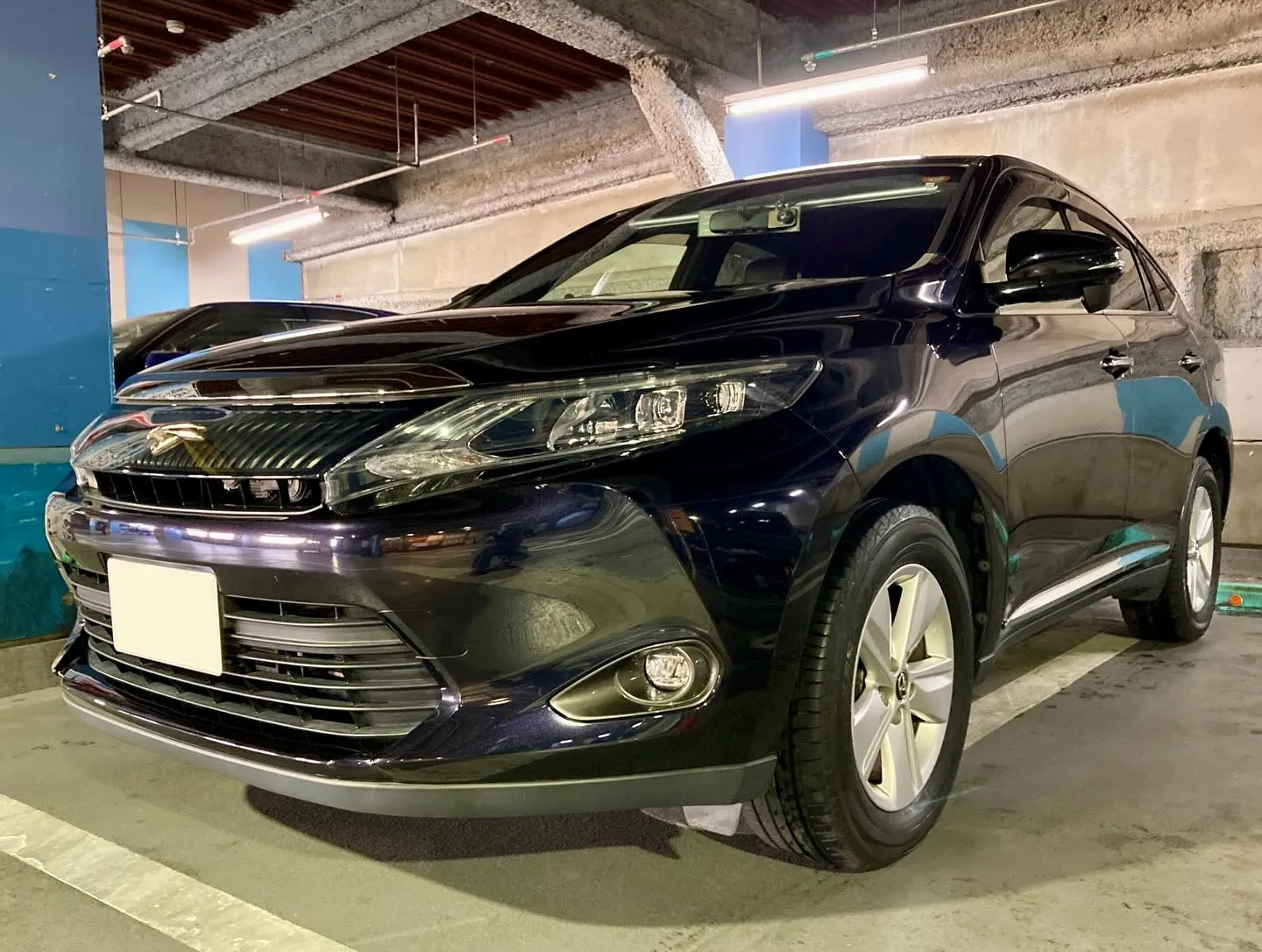 メガ柏ドンキ🐧 只今イベント出店中🎶 ハリアー ご新規様🚘