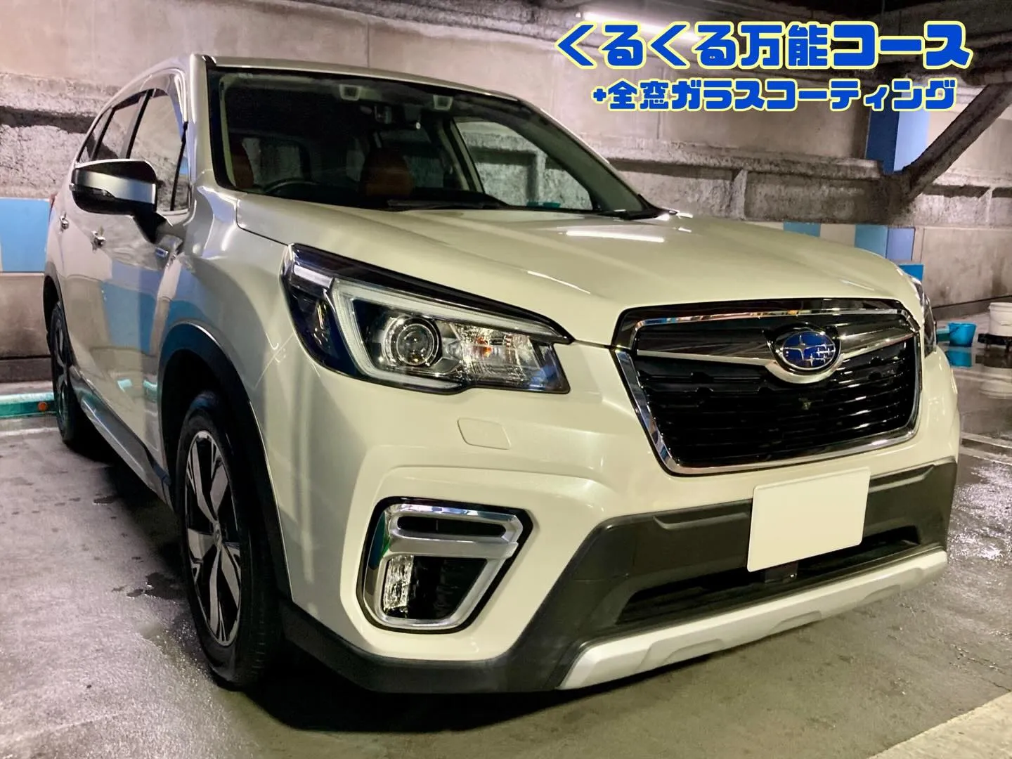 メガ柏ドンキ🐧 只今イベント出店中🎶 フォレスター ご新規様...