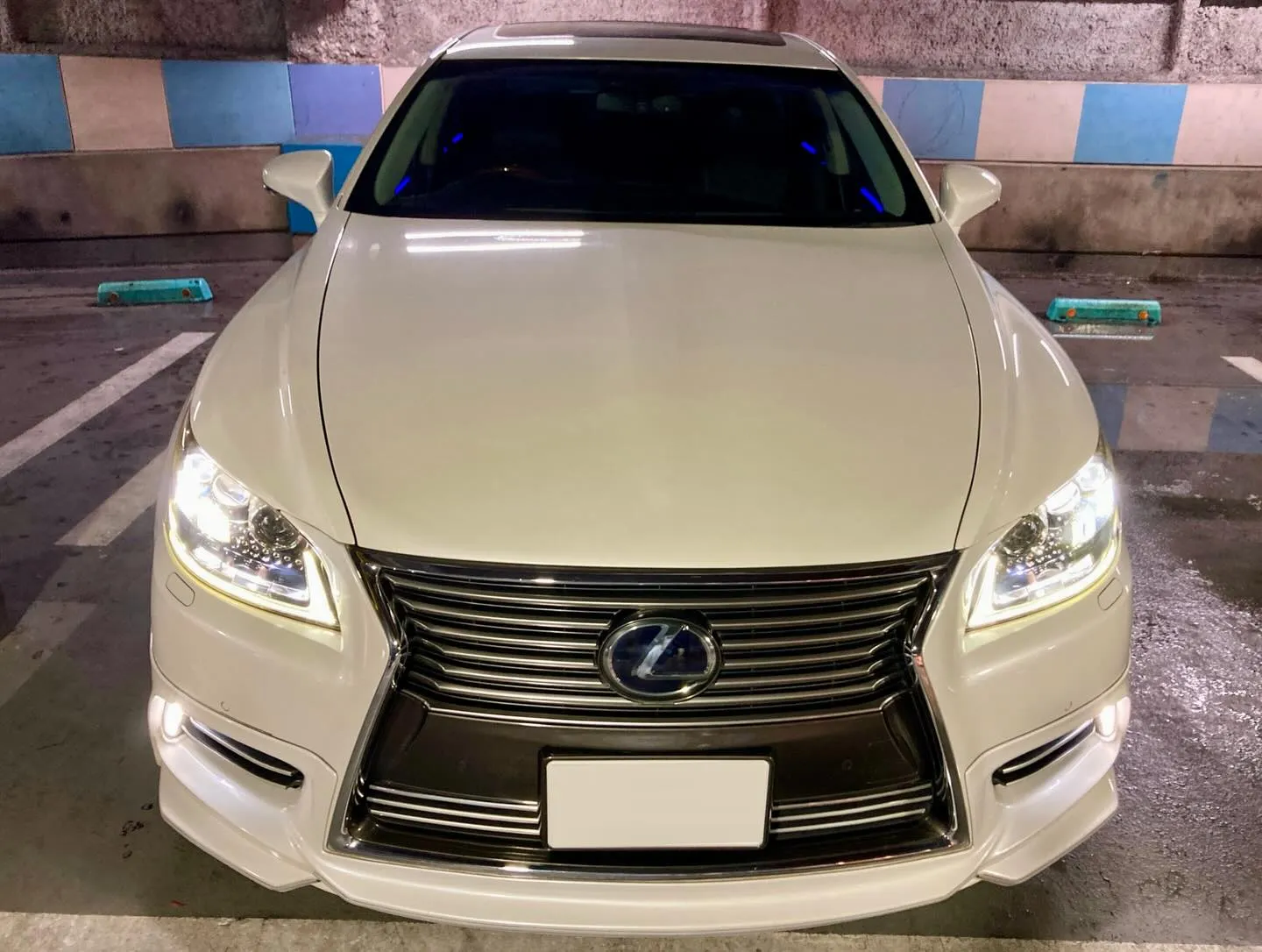 メガ柏ドンキ🐧 祝日出店ありがとうございました🙇‍♂️ レク...