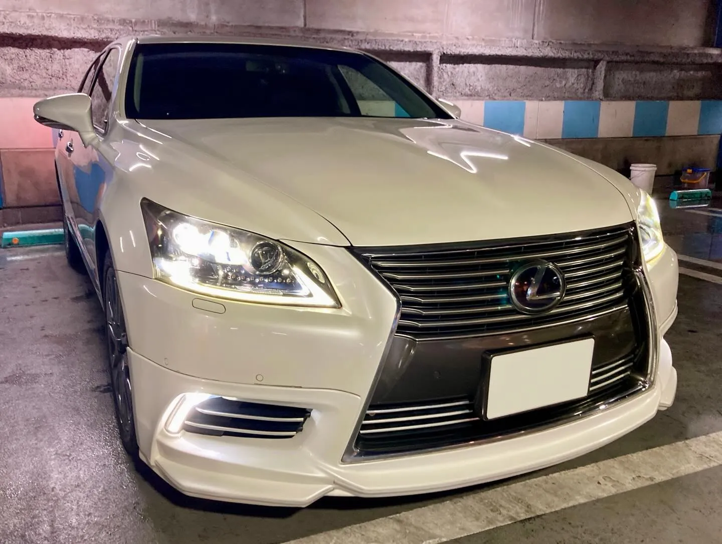 メガ柏ドンキ🐧 祝日出店ありがとうございました🙇‍♂️ レク...