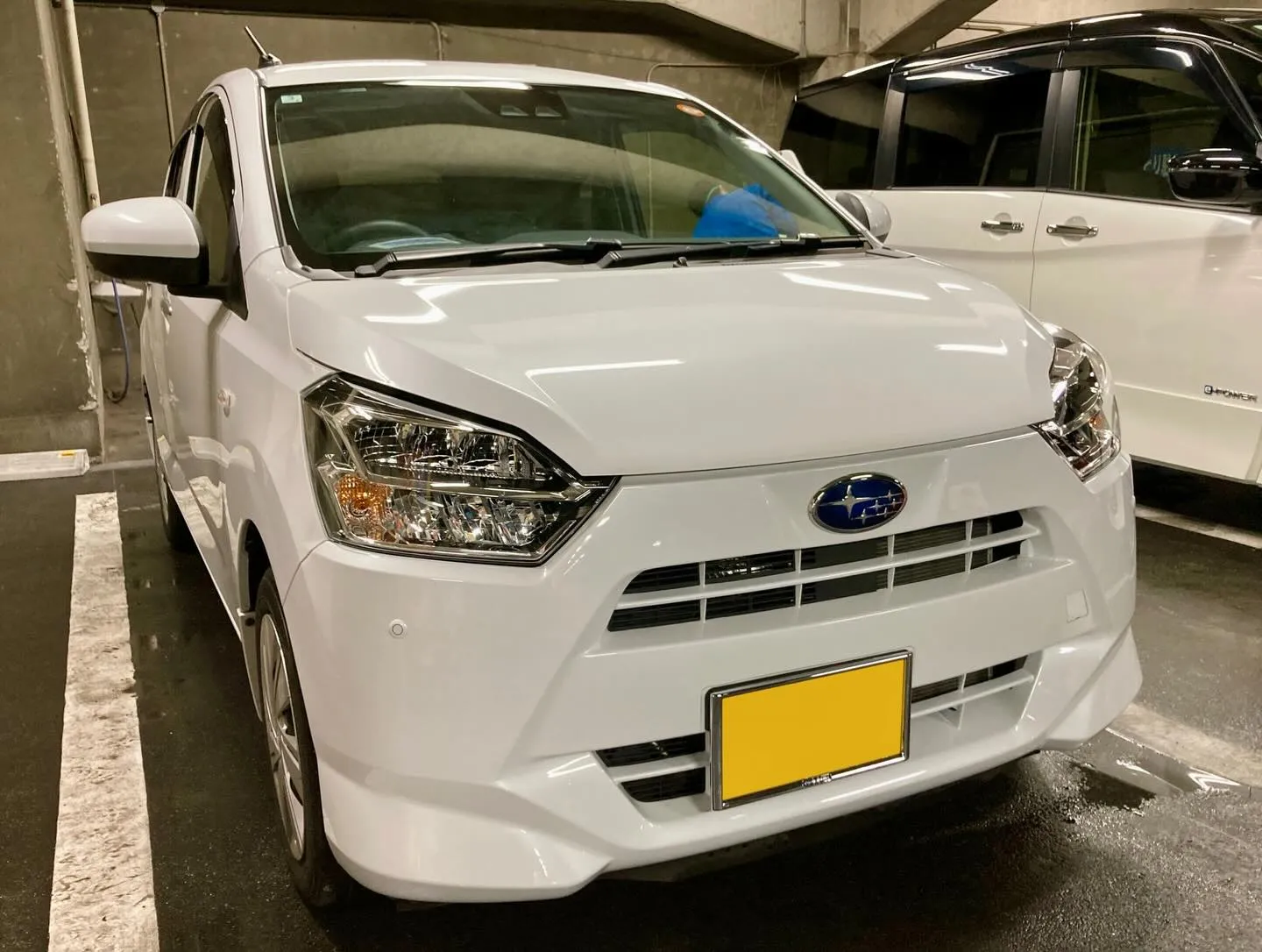 メガ桐生ドンキ🐧 明日より出店🎶 プレオ リピーター様🚘