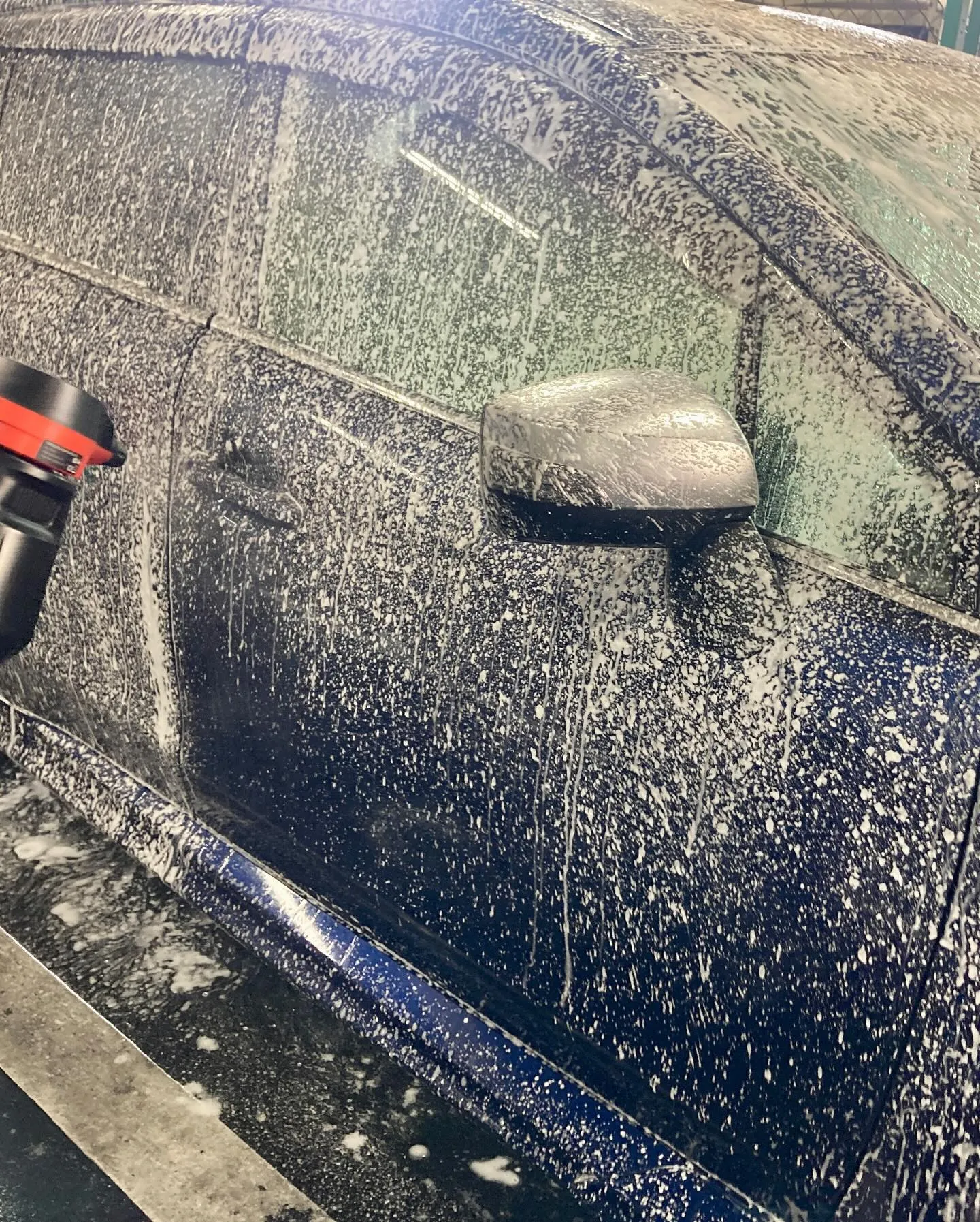 2026年2月出店⭐️ メガ柏ドンキ🐧 手洗いコーティング洗...