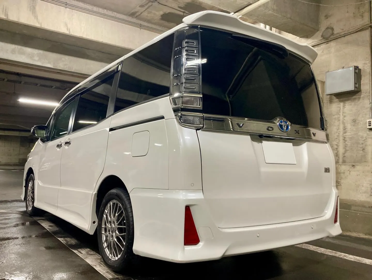 メガ桐生ドンキ🐧 3/3(火)〜イベント出店再開🎶 ヴォクシ...