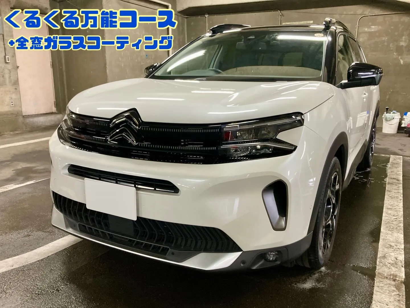 メガ桐生ドンキ🐧 只今イベント出店中🎶 シトロエン ご新規様...