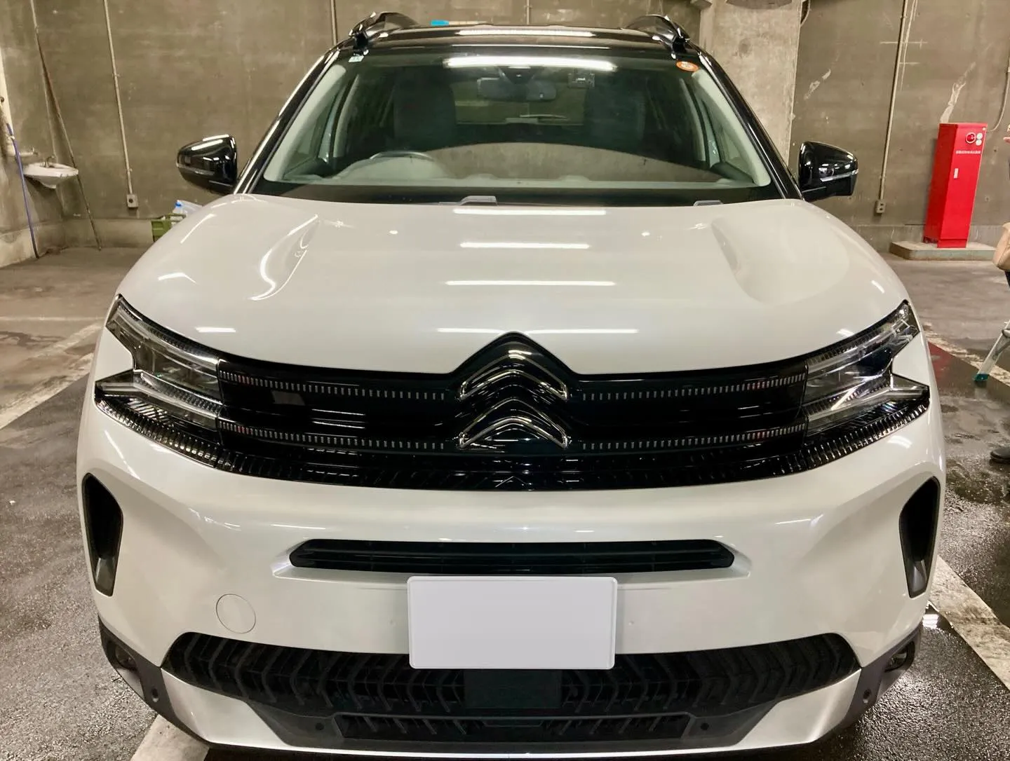 メガ桐生ドンキ🐧 只今イベント出店中🎶 シトロエン ご新規様...