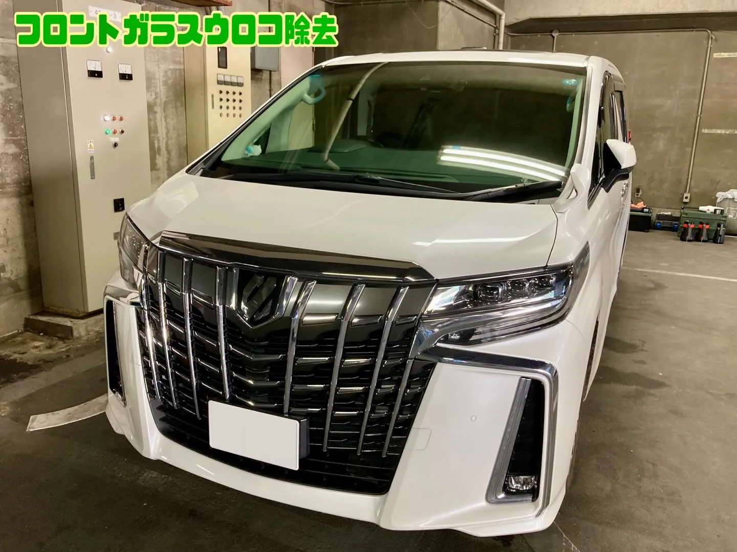 メガ桐生ドンキ🐧 出店最終日❗️ アルファード リピーター様