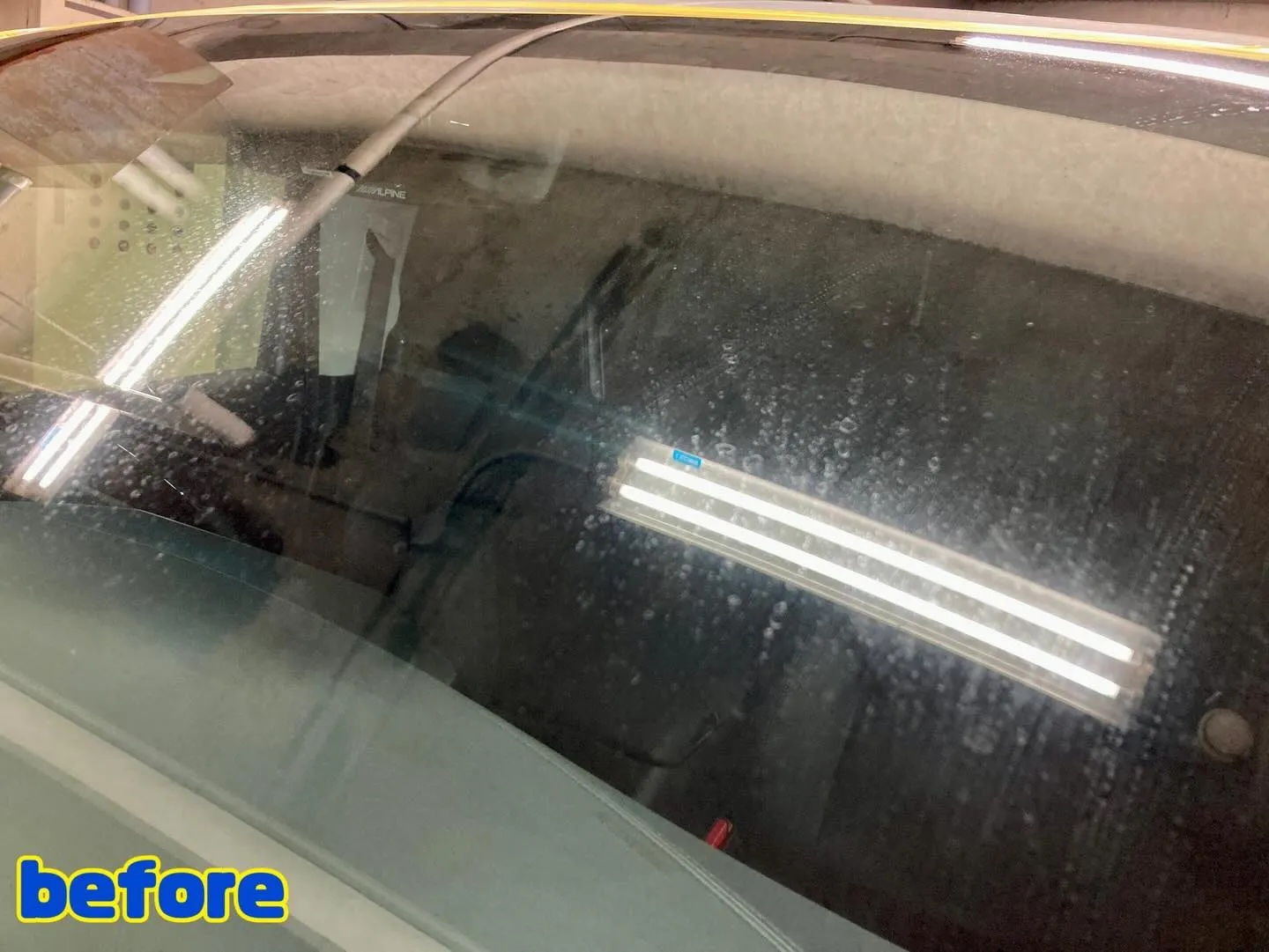 メガ桐生ドンキ🐧 出店最終日❗️ アルファード リピーター様