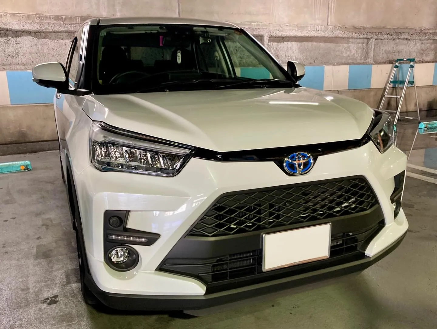 メガ柏ドンキ🐧 明日3/14(土)より出店再開🎶 ライズ ご...