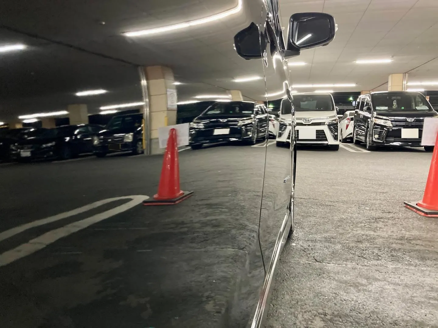 DAYZ(究極コース施工内容🚙)