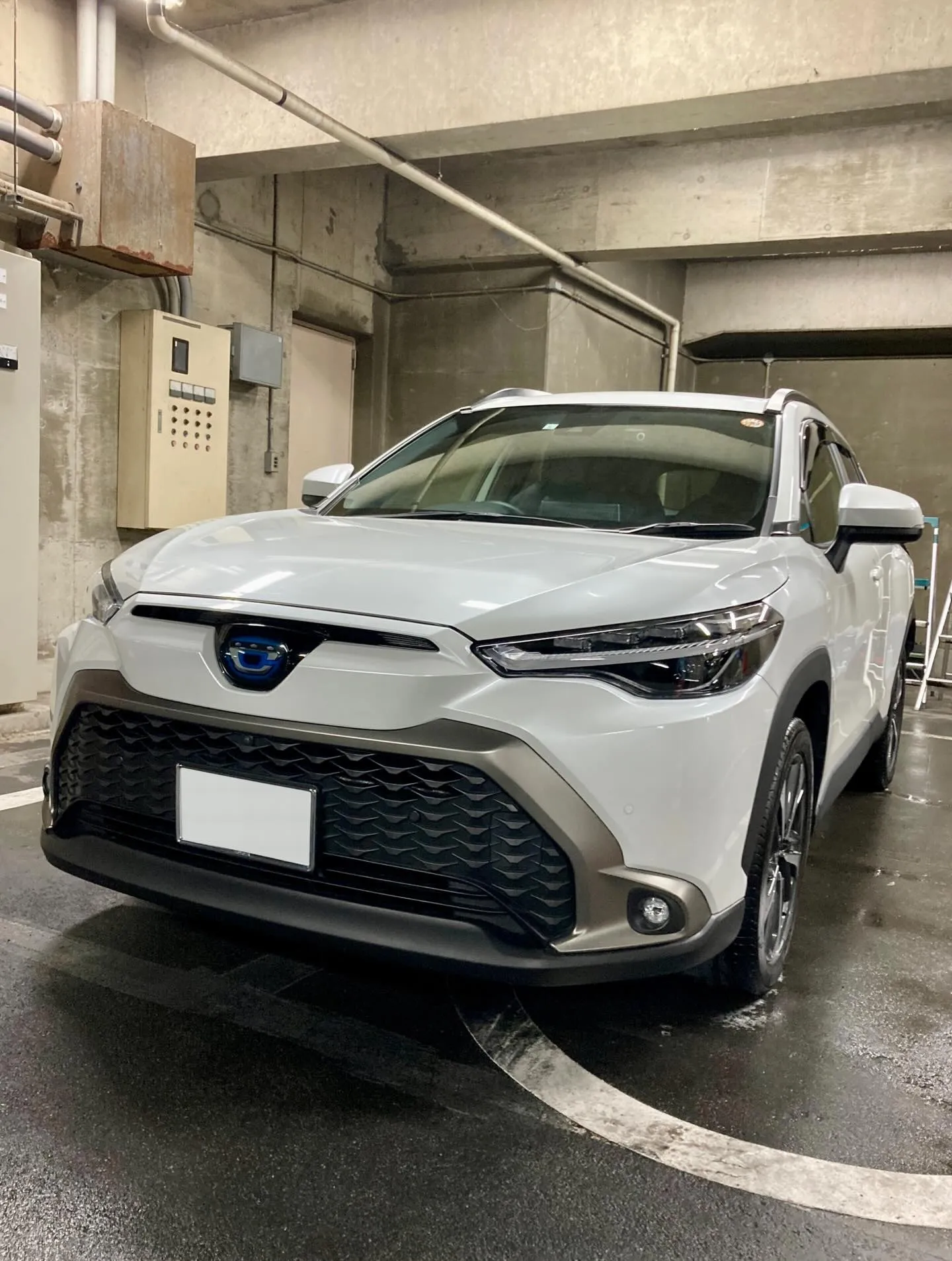 メガ桐生ドンキ🐧 只今イベント出店中🎶 カローラクロス ご新...