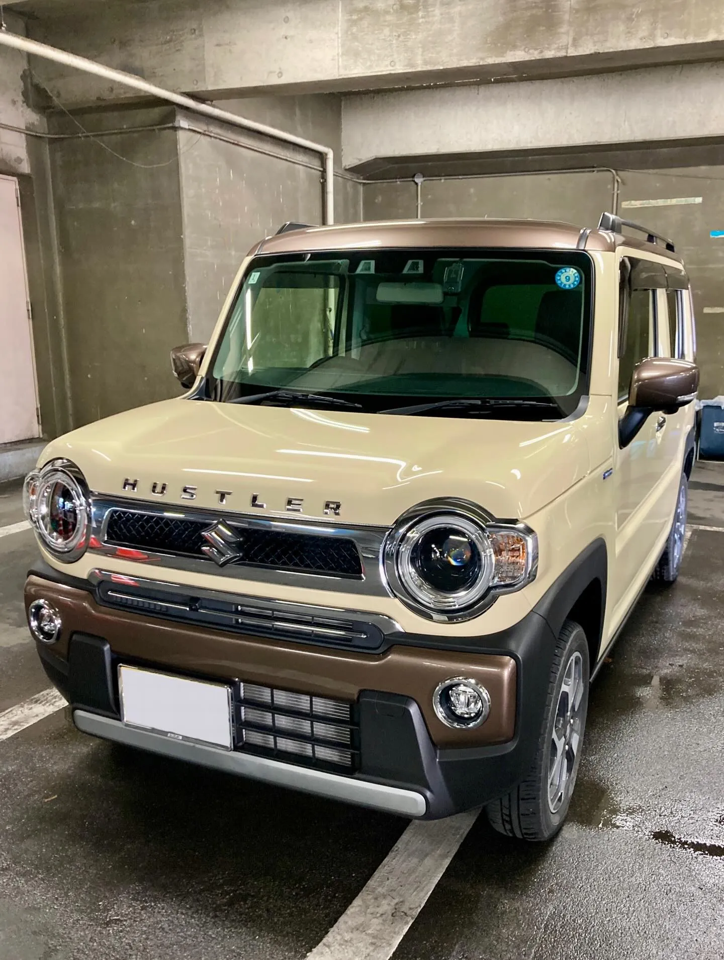 メガ桐生ドンキ🐧 4月より出店続きます🎶 ハスラー リピータ...