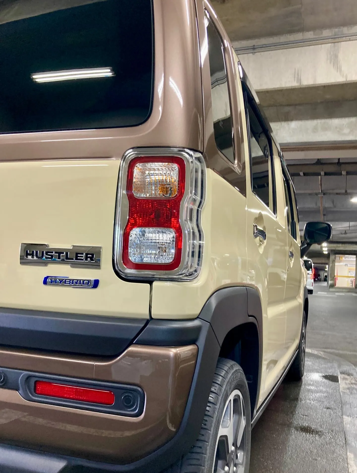 メガ桐生ドンキ🐧 4月より出店続きます🎶 ハスラー リピータ...