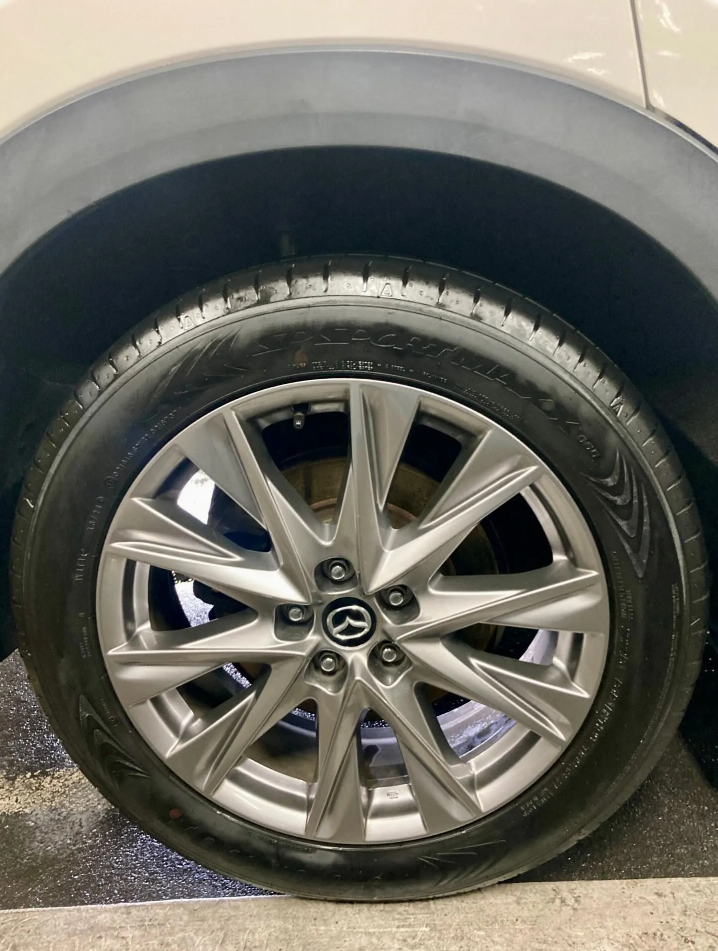 メガ桐生ドンキ🐧 只今イベント出店中🎶 CX-8 ご新規様🚘