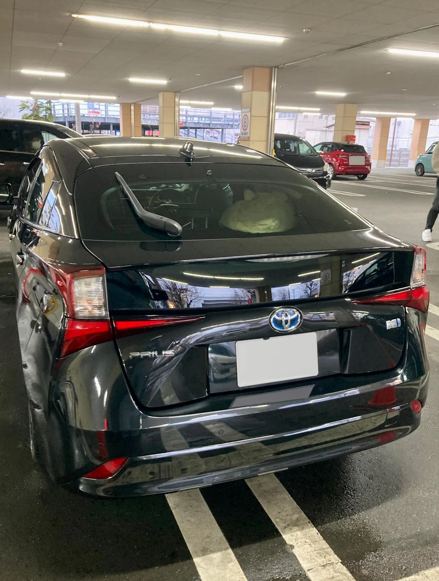 下館ドンキ🐧 只今イベント出店中🎶 プリウス リピーター様🚘