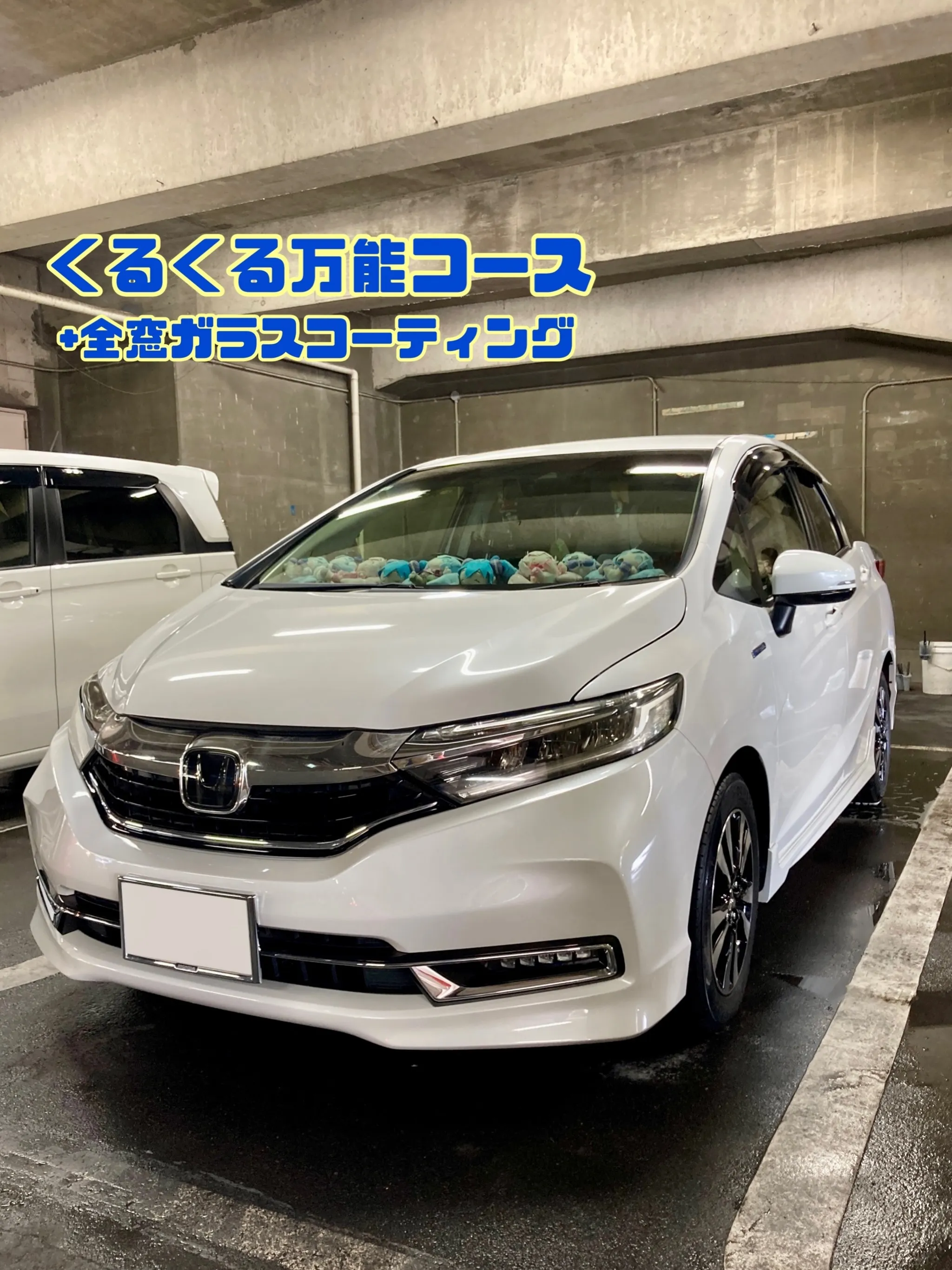 メガ桐生ドンキ🐧 本日よりイベント出店中🎶 フィットシャトル...
